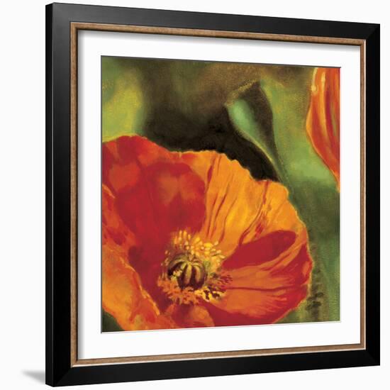 Coquelicots dans le soleil 2-Pierre Viollet-Framed Art Print