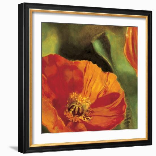 Coquelicots dans le soleil 2-Pierre Viollet-Framed Art Print