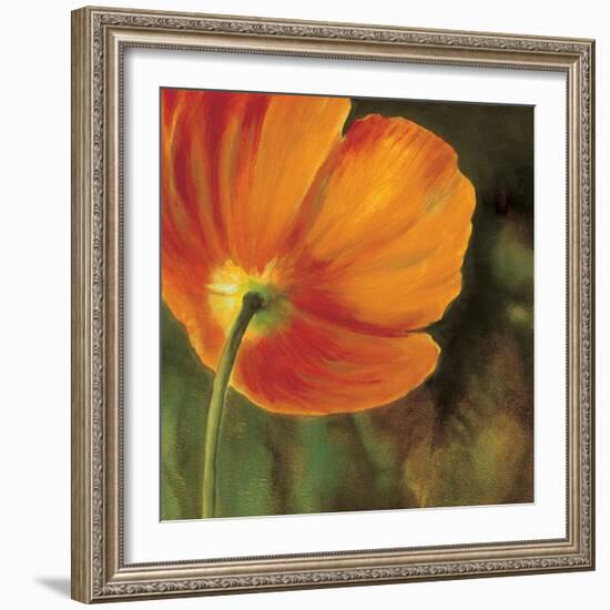 Coquelicots dans le soleil 3-Pierre Viollet-Framed Art Print