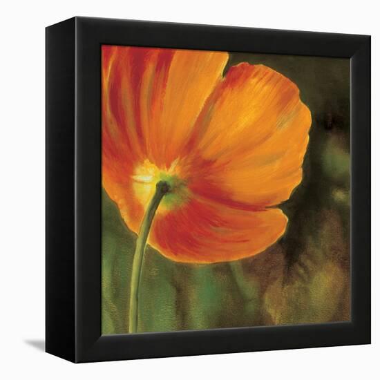 Coquelicots dans le soleil 3-Pierre Viollet-Framed Stretched Canvas