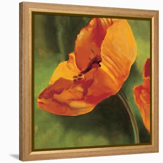 Coquelicots dans le soleil I-Pierre Viollet-Framed Stretched Canvas