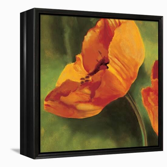 Coquelicots dans le soleil I-Pierre Viollet-Framed Stretched Canvas