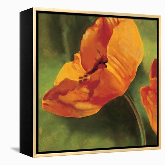 Coquelicots dans le soleil I-Pierre Viollet-Framed Stretched Canvas