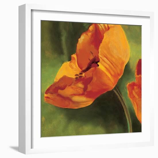 Coquelicots dans le soleil I-Pierre Viollet-Framed Art Print