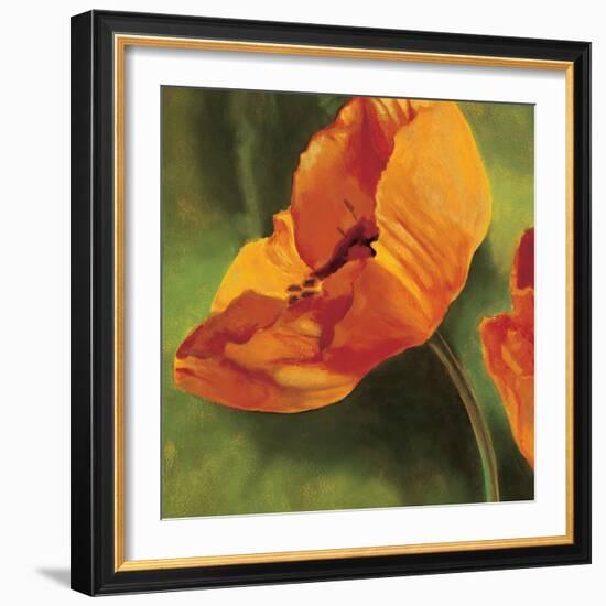 Coquelicots dans le soleil I-Pierre Viollet-Framed Art Print