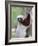 Coquerel's Sifaka, Ampijoroa, Ankarafantsika Reserve, Madagascar-Charles Sleicher-Framed Photographic Print