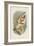 Coquerel's Sifaka-null-Framed Giclee Print