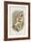 Coquerel's Sifaka-null-Framed Giclee Print