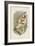 Coquerel's Sifaka-null-Framed Giclee Print