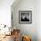 Coqueteo Peras-Moises Levy-Framed Photographic Print displayed on a wall