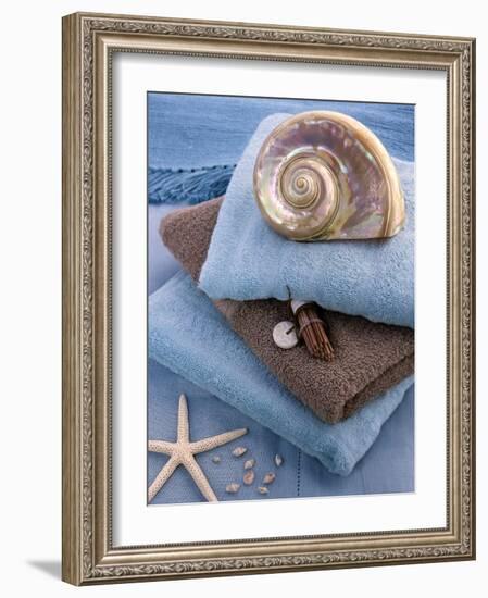 Coquillage et Eponges-Catherine Beyler-Framed Art Print