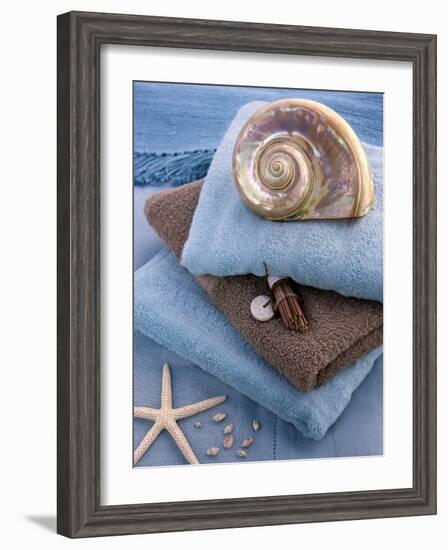 Coquillage et Eponges-Catherine Beyler-Framed Art Print