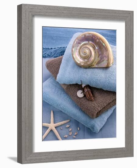 Coquillage et Eponges-Catherine Beyler-Framed Art Print