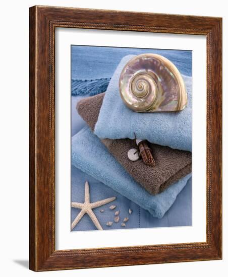 Coquillage et Eponges-Catherine Beyler-Framed Art Print