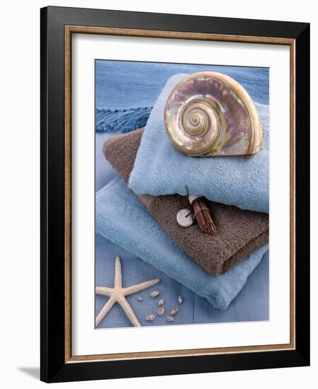 Coquillage et Eponges-Catherine Beyler-Framed Art Print