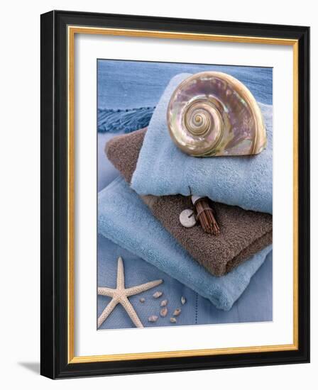 Coquillage et Eponges-Catherine Beyler-Framed Art Print