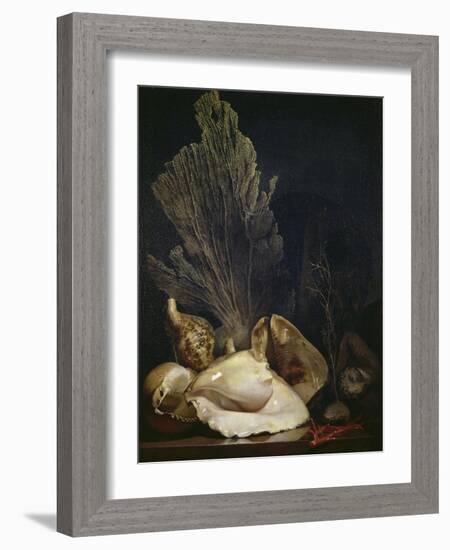 Coquillages et Madreposes-Antoine Berjon-Framed Giclee Print