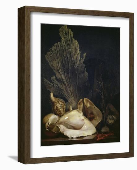 Coquillages et Madreposes-Antoine Berjon-Framed Giclee Print