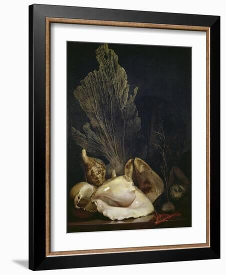 Coquillages et Madreposes-Antoine Berjon-Framed Giclee Print