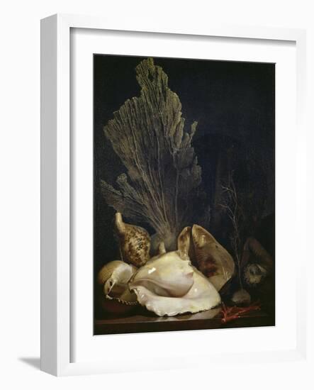 Coquillages et Madreposes-Antoine Berjon-Framed Giclee Print