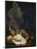 Coquillages et Madreposes-Antoine Berjon-Mounted Giclee Print