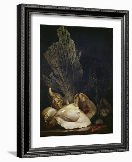 Coquillages et Madreposes-Antoine Berjon-Framed Giclee Print