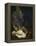 Coquillages et Madreposes-Antoine Berjon-Framed Premier Image Canvas