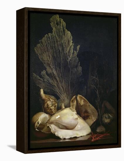 Coquillages et Madreposes-Antoine Berjon-Framed Premier Image Canvas