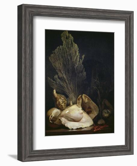 Coquillages et Madreposes-Antoine Berjon-Framed Giclee Print