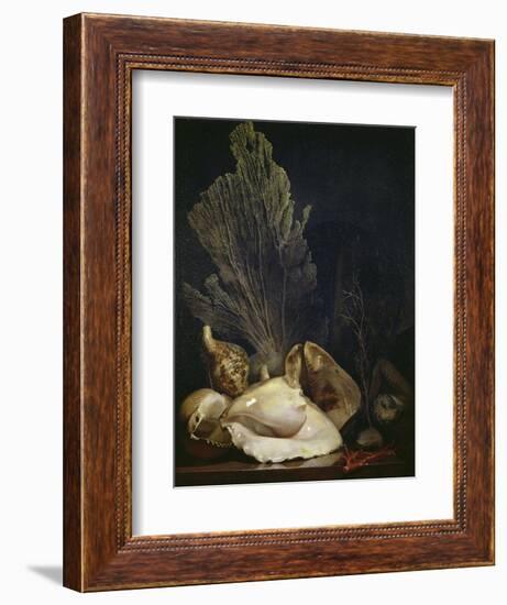 Coquillages et Madreposes-Antoine Berjon-Framed Giclee Print