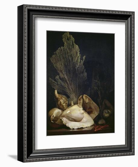 Coquillages et Madreposes-Antoine Berjon-Framed Giclee Print