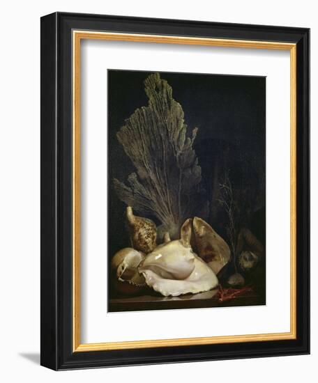 Coquillages et Madreposes-Antoine Berjon-Framed Giclee Print