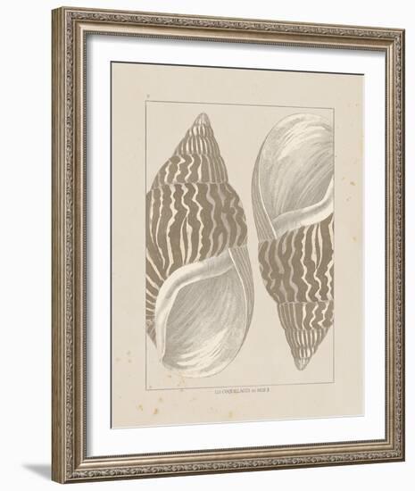 Coquillages II-Maria Mendez-Framed Giclee Print