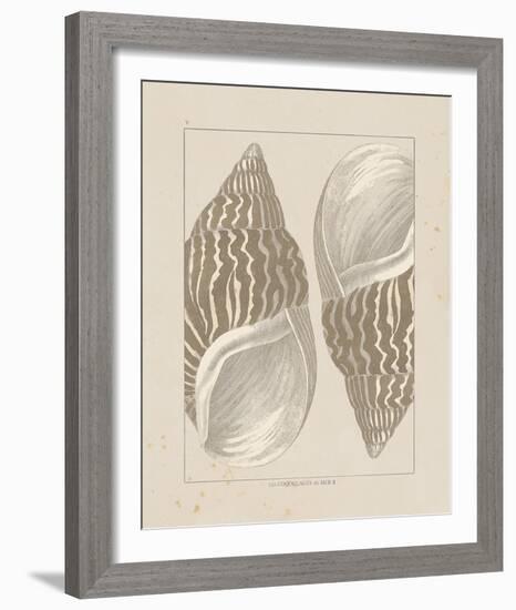 Coquillages II-Maria Mendez-Framed Giclee Print