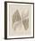 Coquillages II-Maria Mendez-Framed Giclee Print