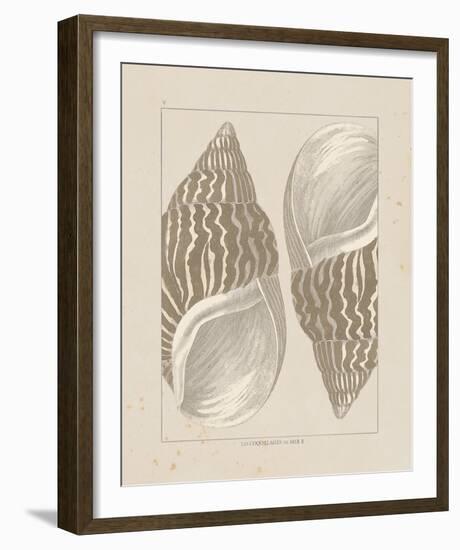 Coquillages II-Maria Mendez-Framed Giclee Print