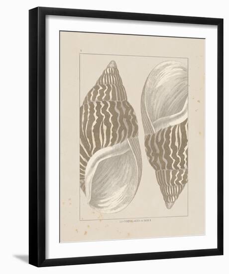 Coquillages II-Maria Mendez-Framed Giclee Print