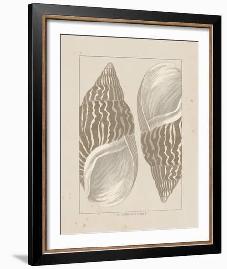 Coquillages II-Maria Mendez-Framed Giclee Print