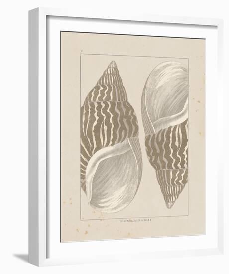 Coquillages II-Maria Mendez-Framed Giclee Print