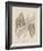 Coquillages II-Maria Mendez-Framed Giclee Print