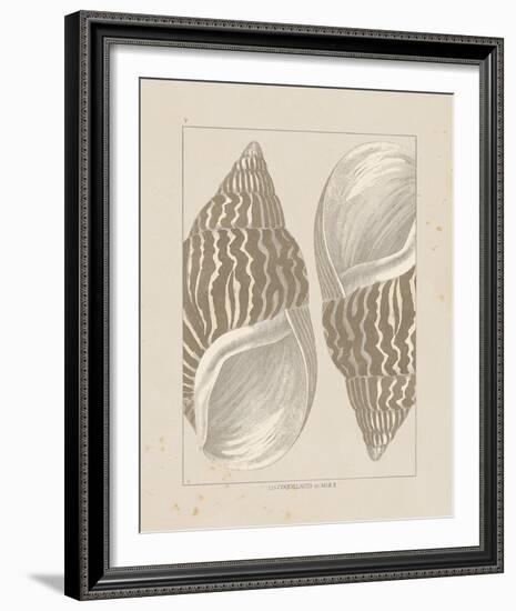 Coquillages II-Maria Mendez-Framed Giclee Print