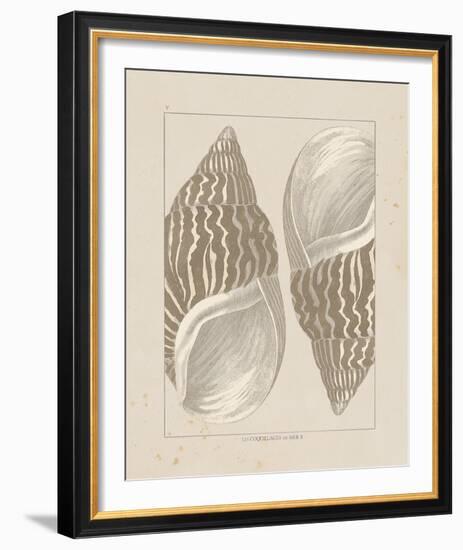 Coquillages II-Maria Mendez-Framed Giclee Print