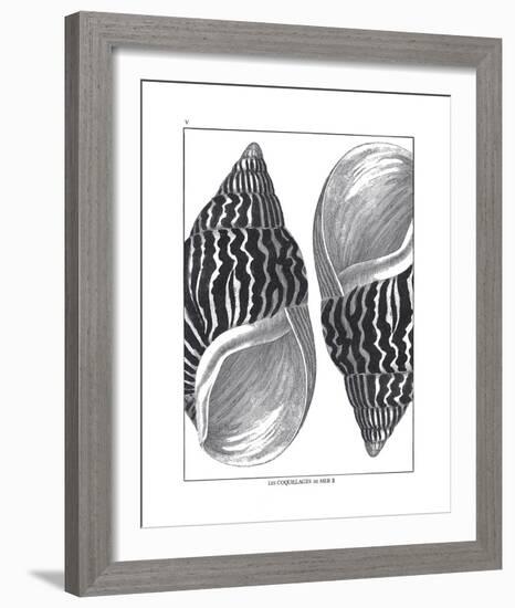 Coquillages Noir II-Maria Mendez-Framed Giclee Print