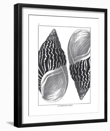 Coquillages Noir II-Maria Mendez-Framed Giclee Print