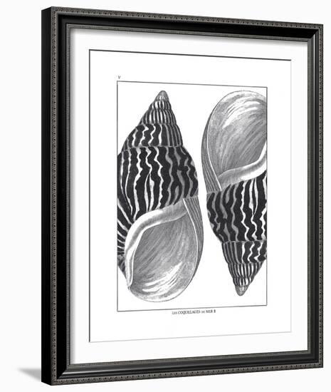 Coquillages Noir II-Maria Mendez-Framed Giclee Print