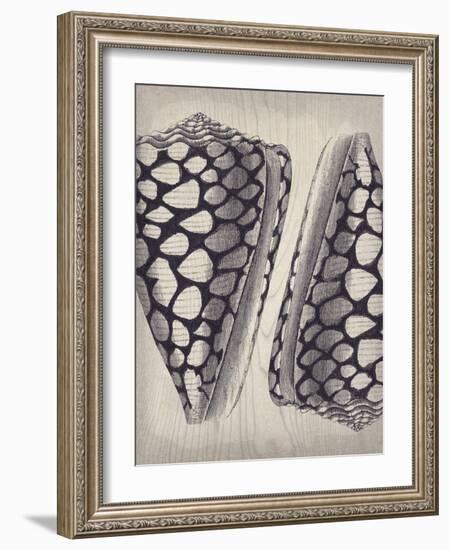 Coquille I-Maria Mendez-Framed Giclee Print