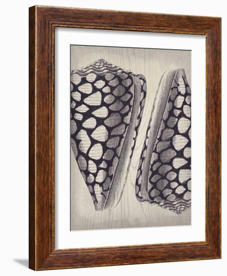 Coquille I-Maria Mendez-Framed Giclee Print