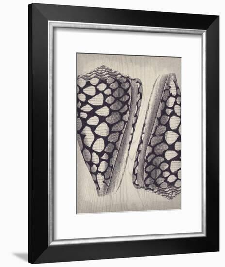 Coquille I-Maria Mendez-Framed Giclee Print