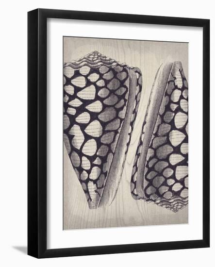 Coquille I-Maria Mendez-Framed Giclee Print