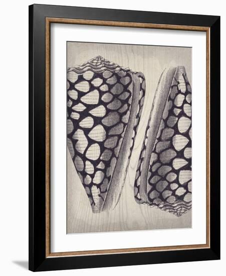 Coquille I-Maria Mendez-Framed Giclee Print